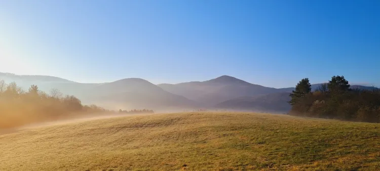 6 faktorov, ktoré zvýšia cenu vašej poľnohospodárskej pôdy pri predaji